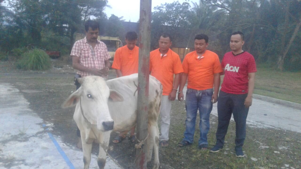 Beraksi di Batubara, Tiga Pemuda Asahan Gol