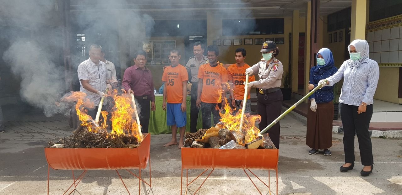 Polsek Sunggal Musnahkan Barang Bukti 37 Bal Ganja