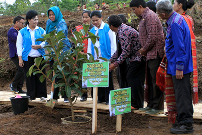 Ibu Negara dan Ketua TP PKK Provsu Tanam Pohon di Geopark Kaldera Toba