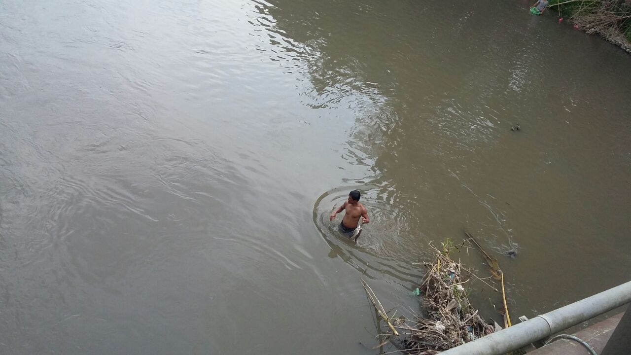 Diduga Tercemar Limbah PKS Pabatu, Ribuan Ikan Mati