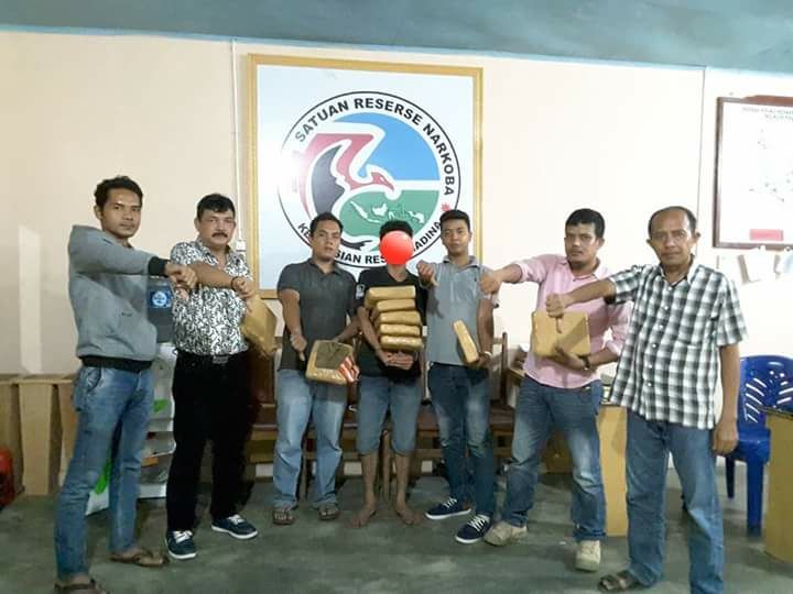 Polres Madina Ciduk Seorang Kurir dan Gagalkan 9 Kg  Ganja Siap Edar