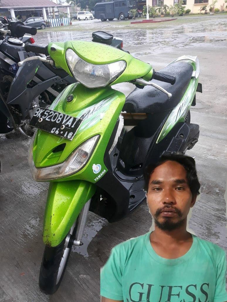 Curi Kereta Diwarnet, Zul Marpaung Gol