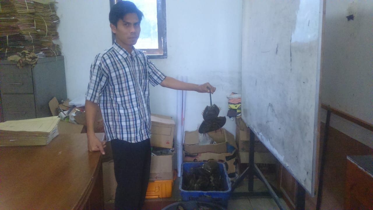 Tipiter Amankan Tiga Basket Blangkas di Desa Gambus Laut