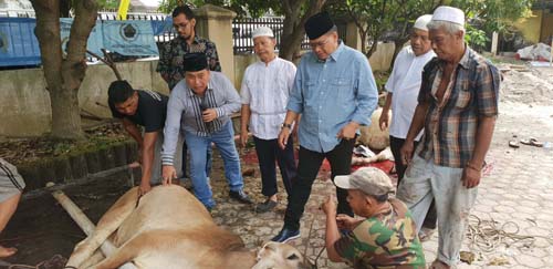 PWI Sumut Sembelih Empat  Lembu dan Satu Kambing