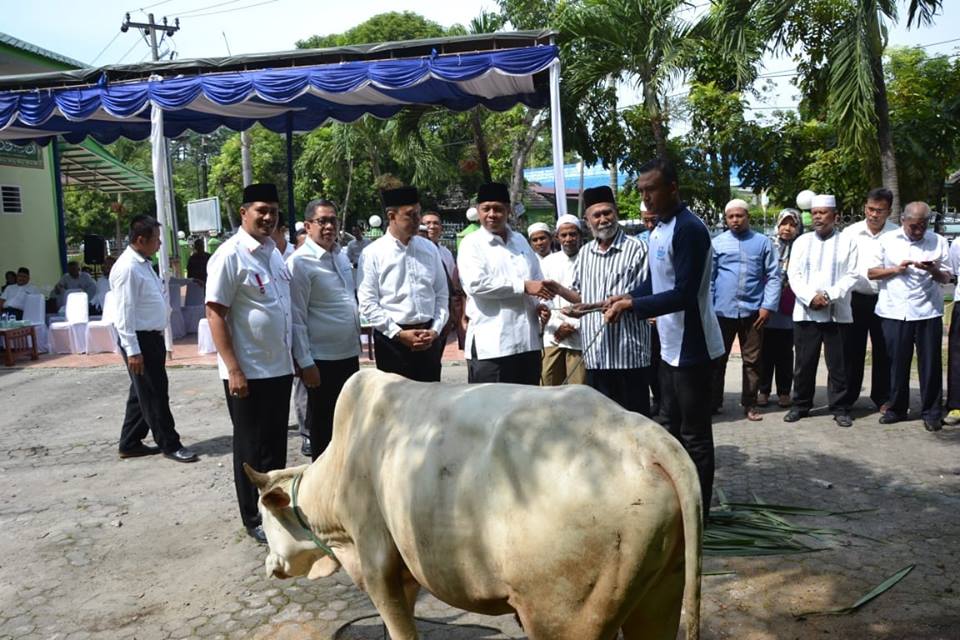 PDAM Tirtanadi Sedekahkan 13 Ekor Lembu