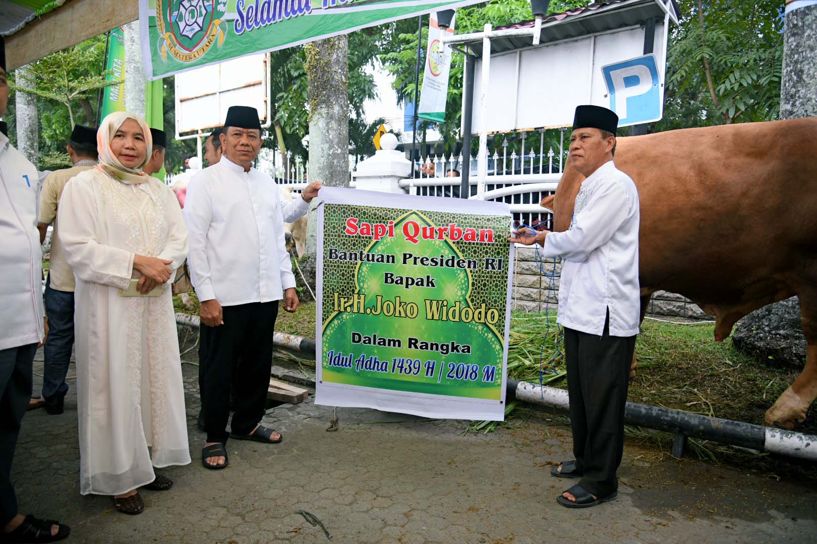 Sapi Kurban dari Presiden, Ini Kata Tukang Jagalnya