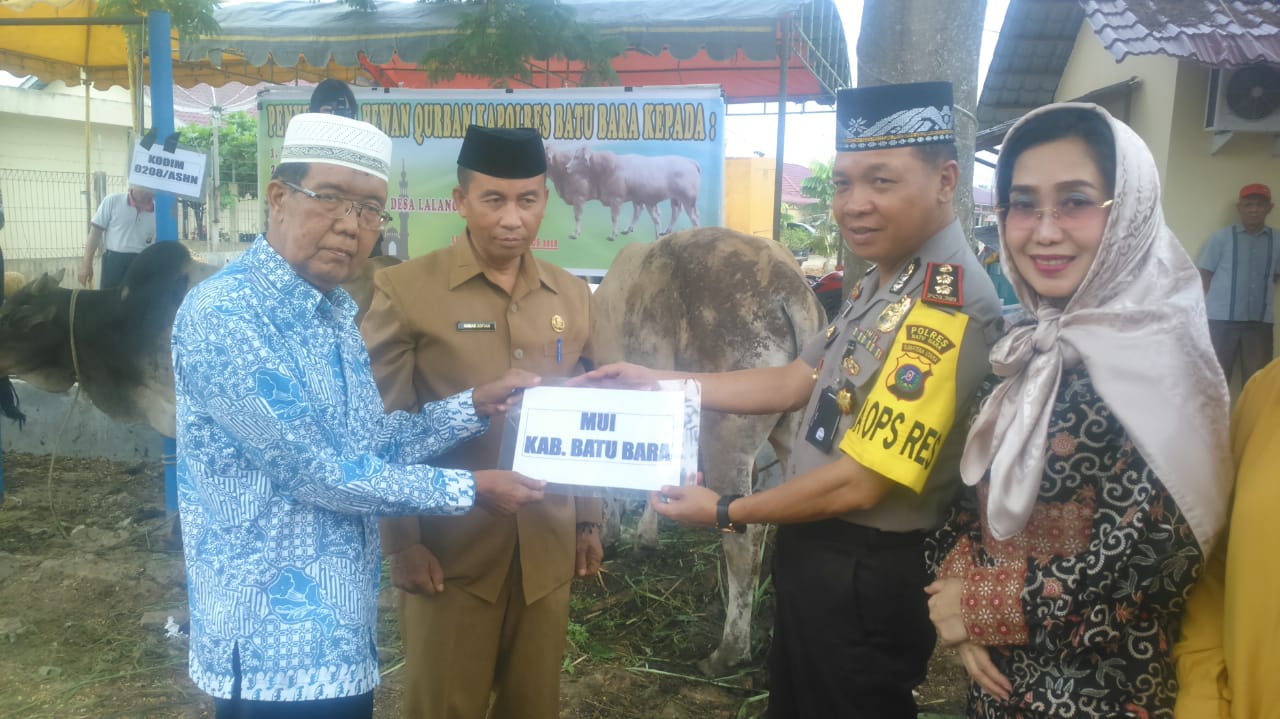 PD MUI Terima Bantuan Hewan Qurban Dari Polres Batubara