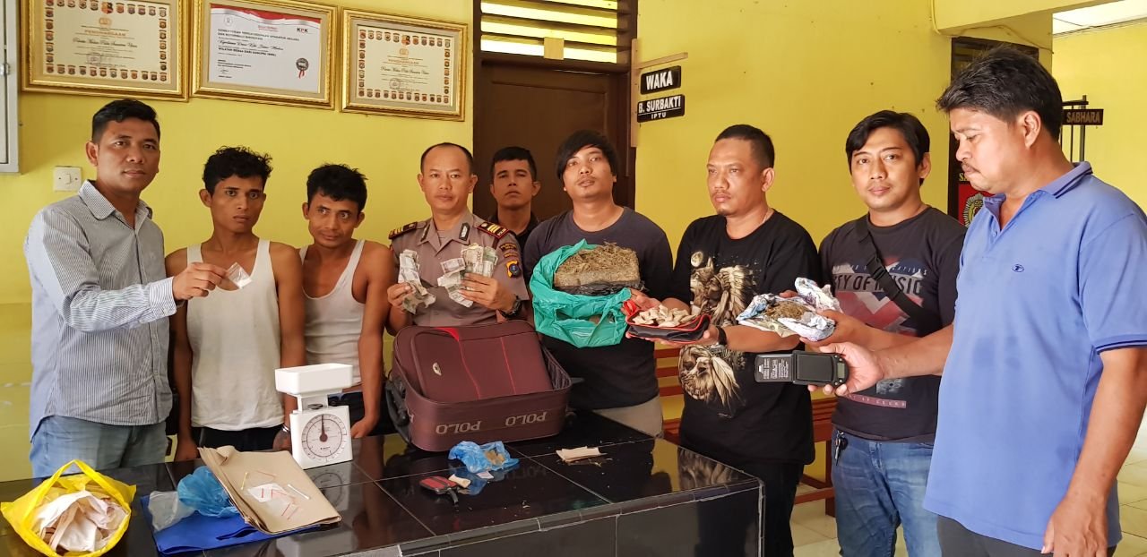 Gempur Narkoba, Pegasus Kutalimbaru Ringkus Dua Terduga Pelaku Narkoba