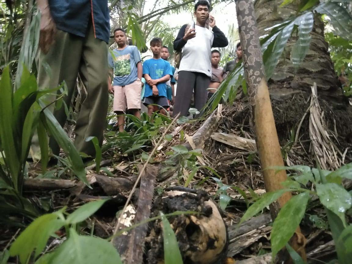 Heboh, Temuan Mayat Mr X Dengan Kondisi Kepala Terpisah dari Badan