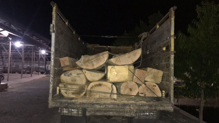 Tanpa Dokumen, Polres Pidie Amankan Truk Pengangkut Kayu