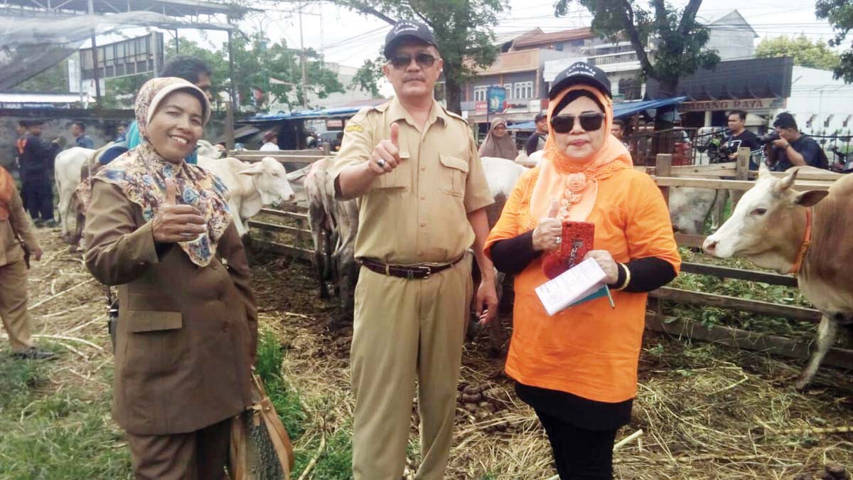 Hewan Kurban, Ini Harapan Walikota Medan