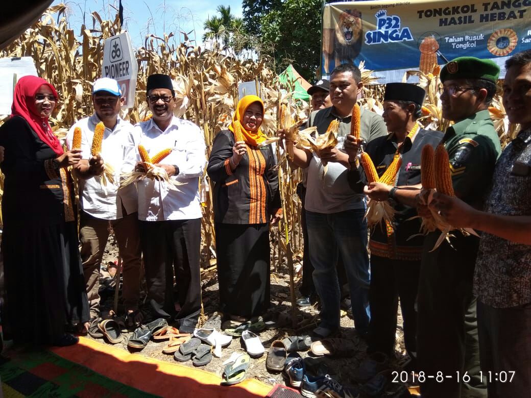 Pemkab Galus Bersama PT Dupont Panen Raya