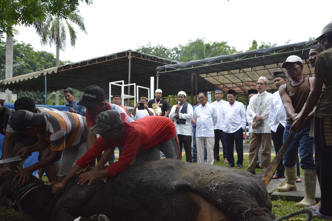 Pelindo 1 Sembelih 21 Hewan Kurban, 