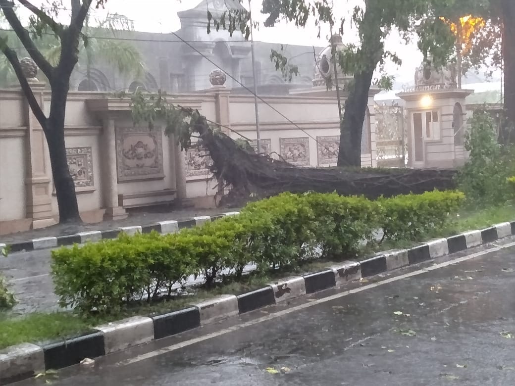 Hujan Lebat, Pohon di Jalan Sudirman Tumbang