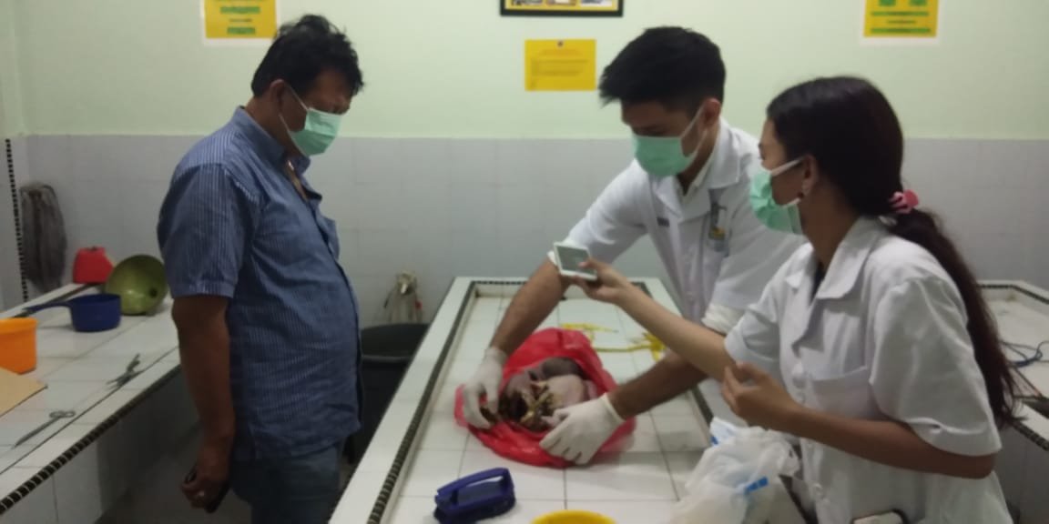 Warga Johor Heboh, Mayat Bayi Perempuan Berbungkus Plastik Ditemukan