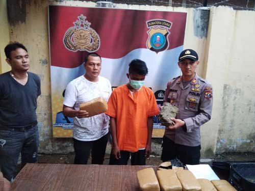 Polsek Patumbak Ungkap Pengiriman 10 Kg Ganja Kering ke LampungÂ 