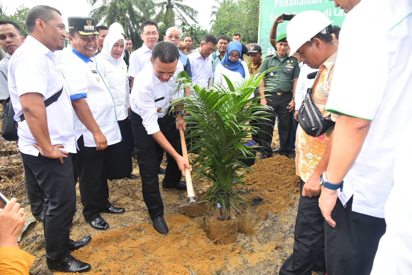 Program Peremajaan Sawit Rakyat 157 Hektare,Wagubsu Tanam Sawit Perdana di Labusel