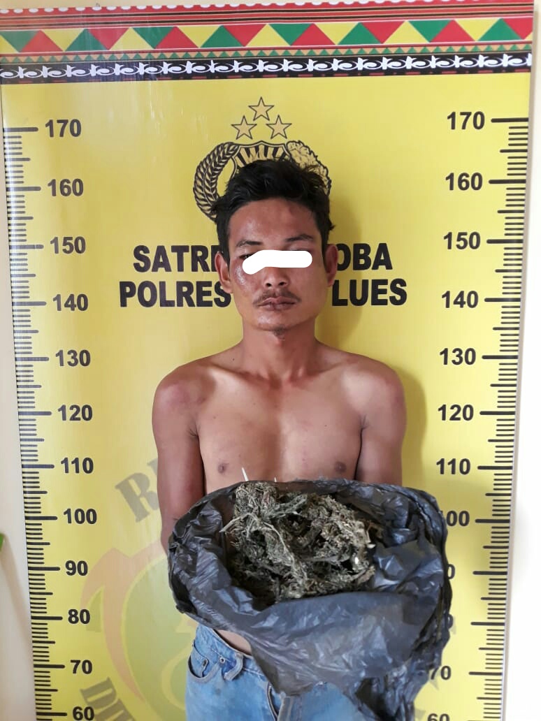 Jadi Kurir Ganja Pemuda Gayo Lues Diciduk Polisi