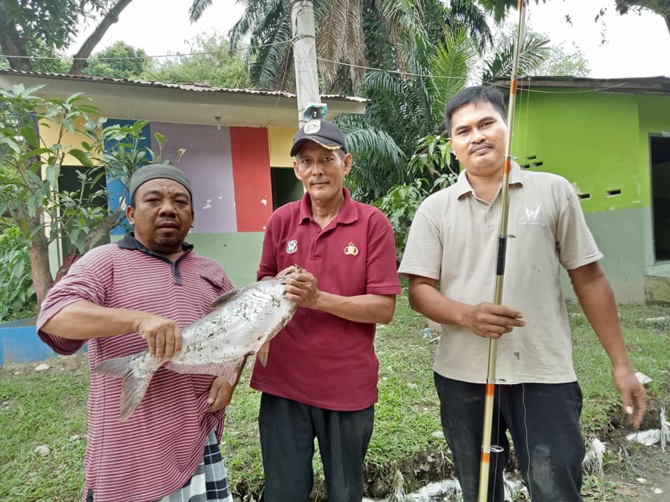 Warga Kp Mandailing Mancing 2 Ekor Ikan Patin 8,5 Kg