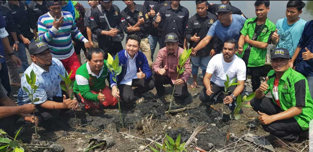 Tengku Erry Bersama Komunitas Lingkungan Tanam Mangrove Di Siombak