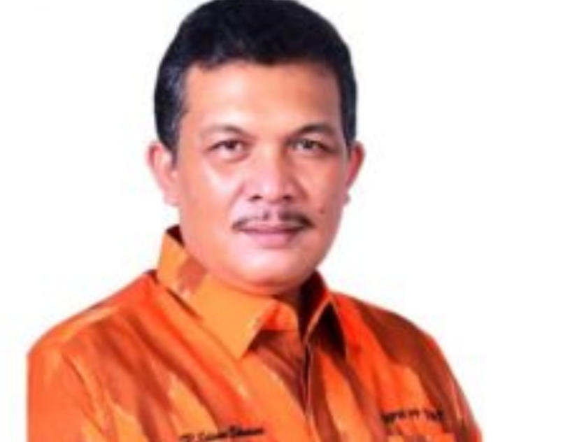 Ketua MPC PP Deliserdang Edison Sianturi: Bukan Kader PP, Kades Spontanitas Masyarakat