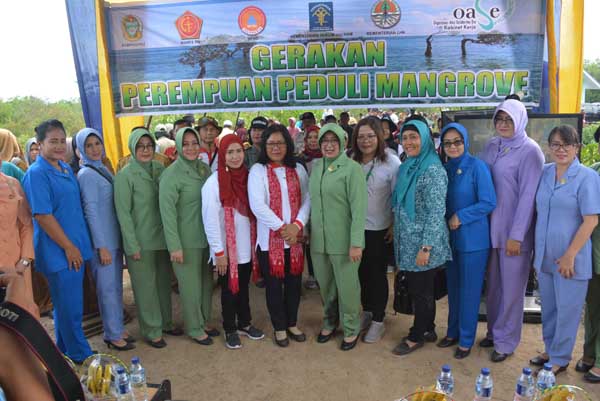 Ibu Yasona Laoli Ajak Masyarakat Tanam 2.000 Pohon Mangrove