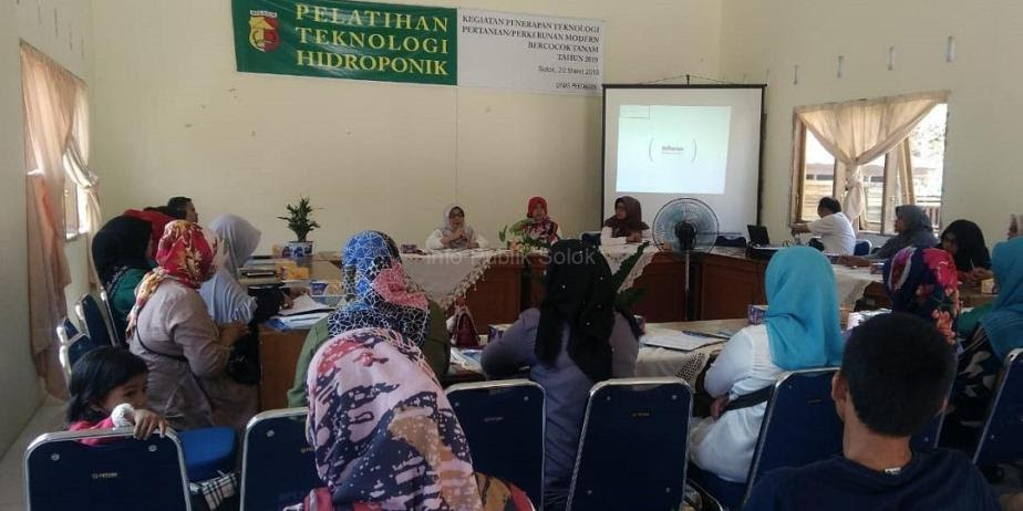 Dinas Pertanian Kota Solok Gelar Pelatihan Teknologi Budidaya Tanaman dengan Cara Hidroponik