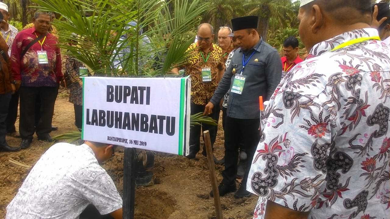 Plt Bupati Labuhanbatu Andi Suhaimi saat melihat penanaman bibit sawit