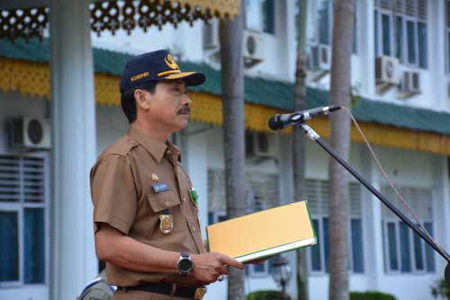Wirausaha Baru Tekan Angka Penganguran