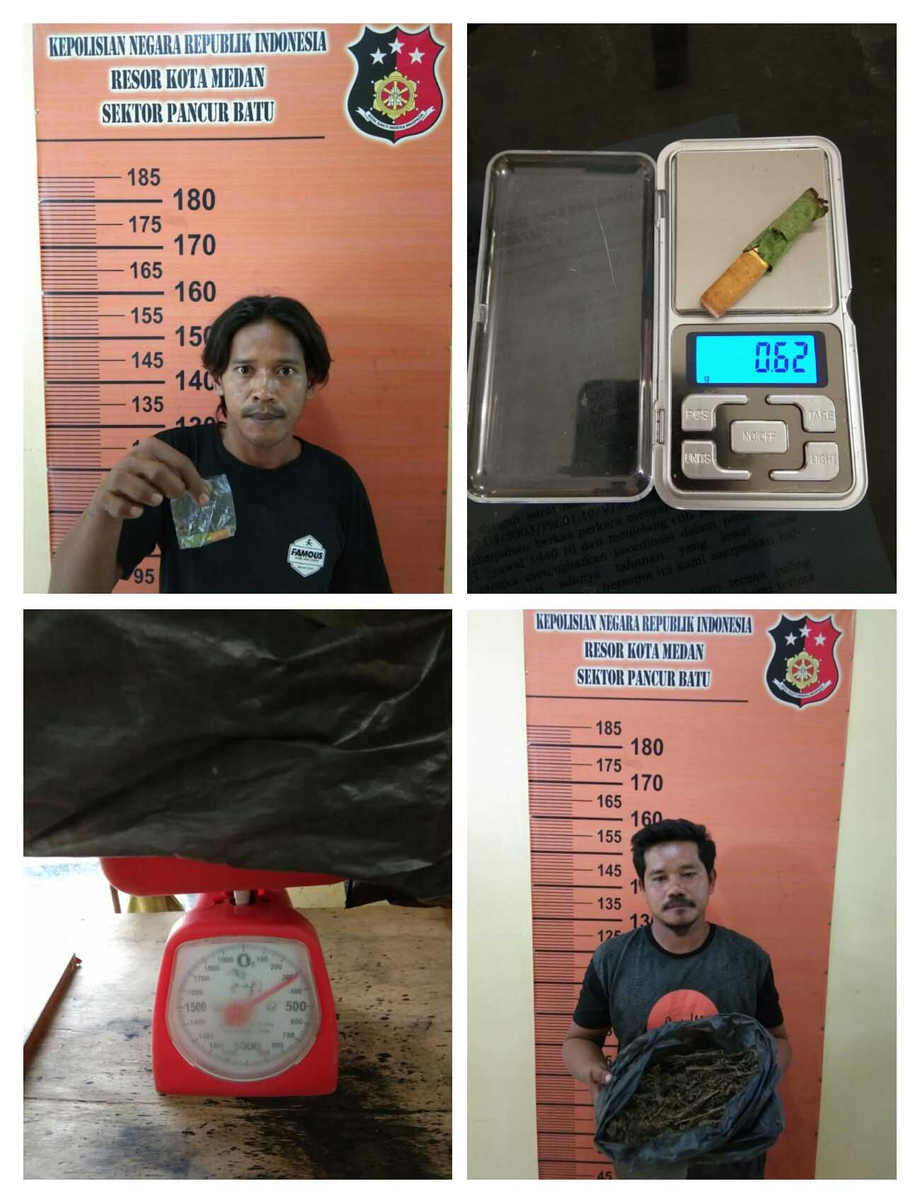 Cuitan Pengguna Narkoba, Pegasus Pancur Batu Ringkus BD Ganja Desa Sukaraya