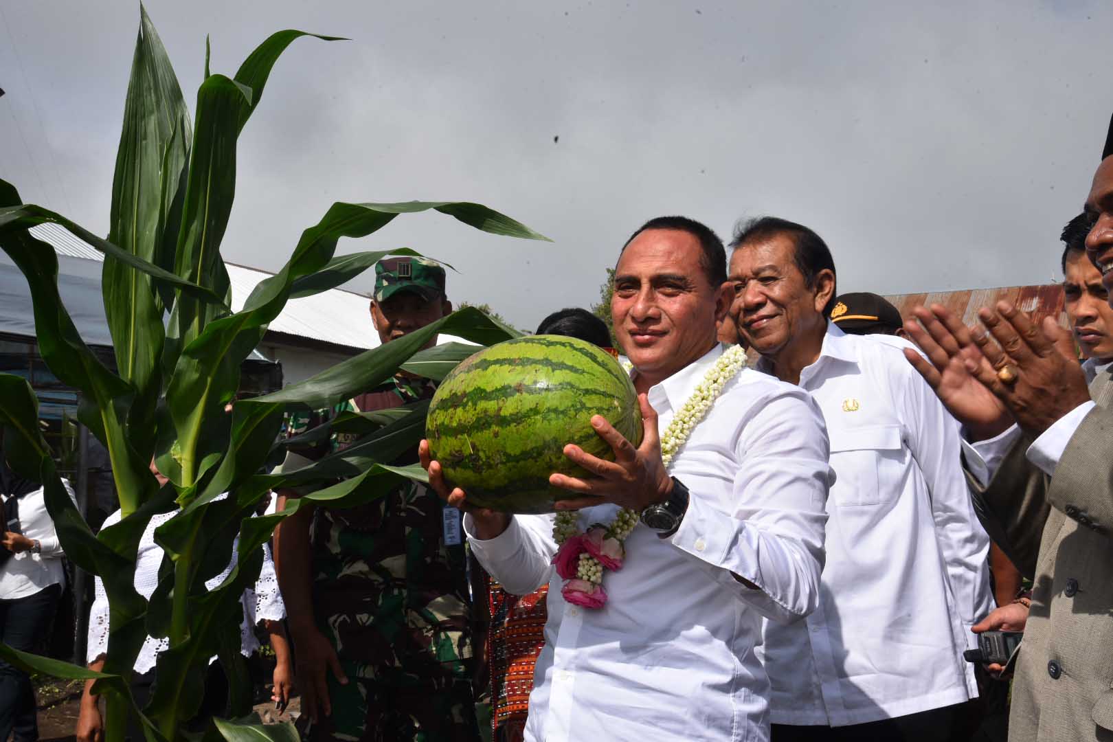 Gubernur Sumut Tinjau Kebun SMKN 1 Pagaran,  Harus Dikembangkan dan Bermanfaat Bagi Masyarakat