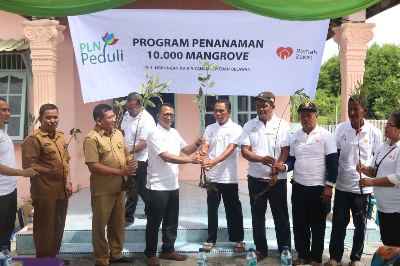 PLN dan Dinas Lingkungan Hidup Medan Tanam 10 Ribu Mangrove di Belawan