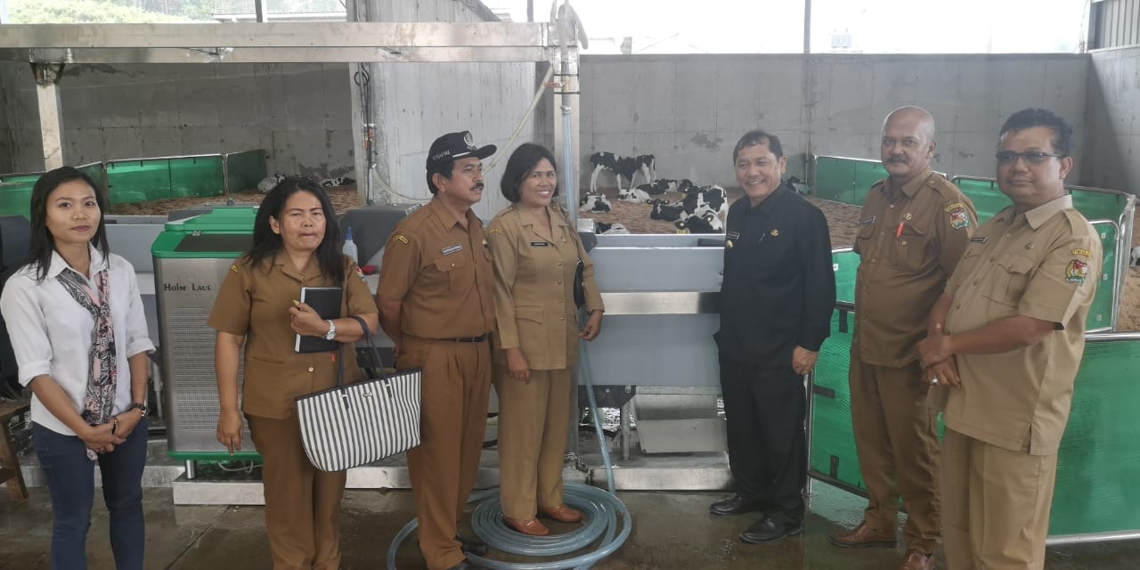 PT Ultra Sumatera Dairy Farm Belum Memberikan Kontribusi ke Pemkab Karo
