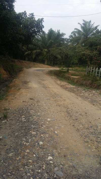 Warga Dusun IV Desa Sumber Mulyo Harapkan Pengerasan Jalan