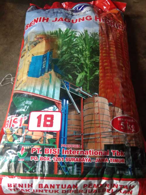 Benih Jagung Dana APBN di Kabupaten Karo Busuk dan Berkutu