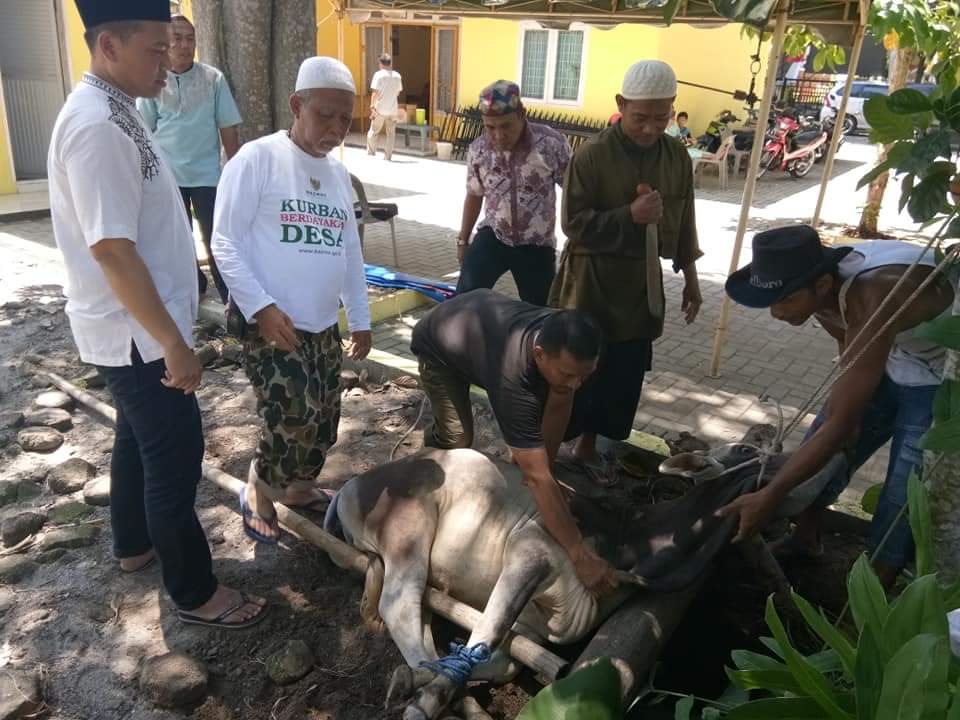 Ngogesa Sitepu SH Serahkan hewan Qurban ke PWI Langkat