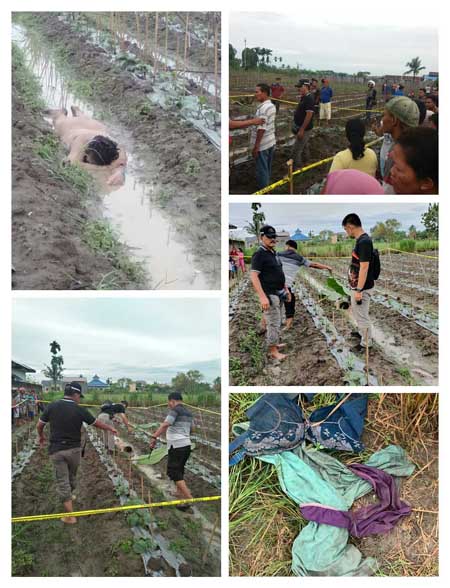 Polsek Medan Labuhan Evakuasi Mayat Wanita Tanpa Busana Diduga Pengidap Gangguan Jiwa Diladang Timun Warga
