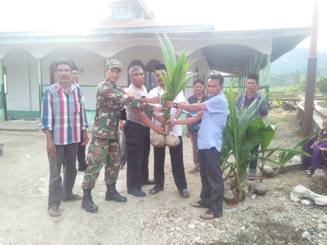 Muspika Bersama Pengulu Gumpang Lempuh Lakukan Penanaman Kelapa Hibrida