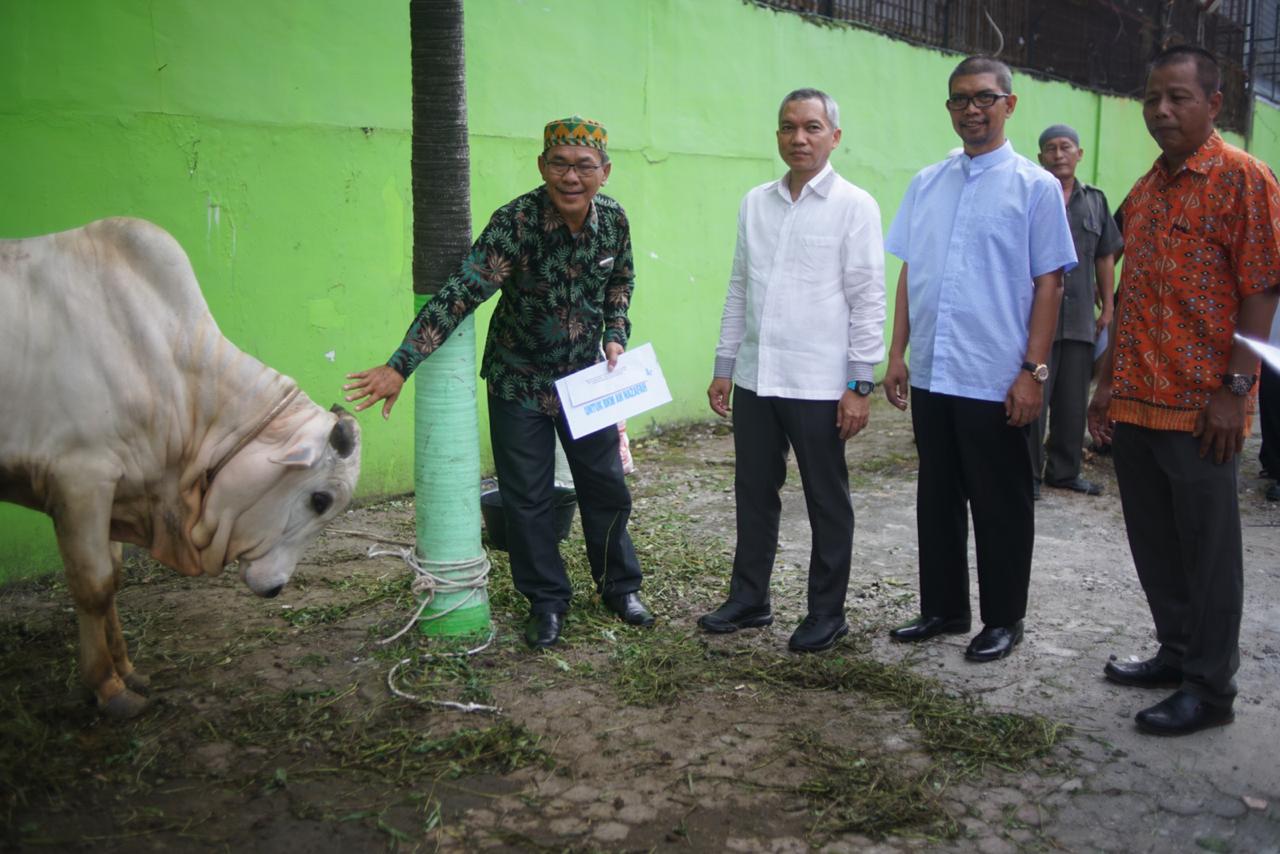 Sambut Hari Raya Idul Adha 1440 H, PDAM Tirtanadi Sumbang 21 Ekor Sapi