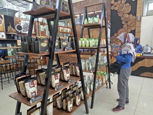 Kopi Organik Simalem Non Pupuk dan Obat Kimia