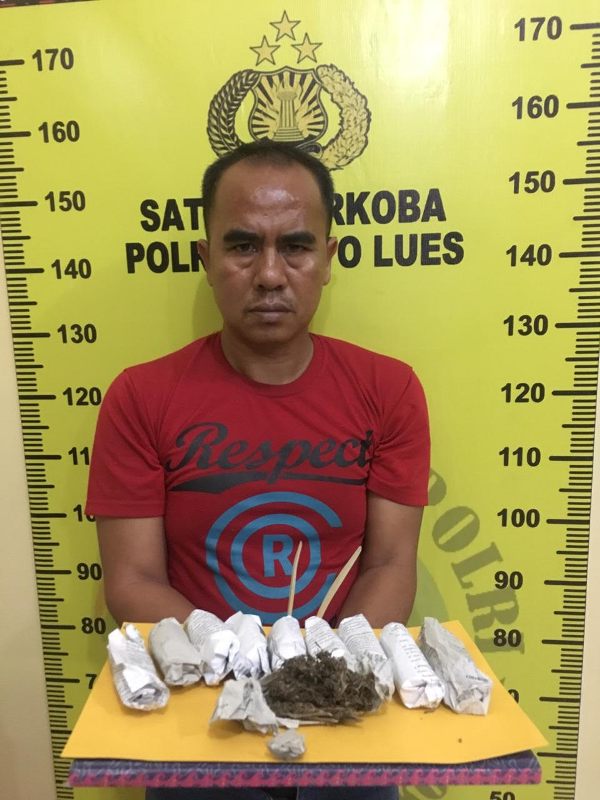 Seorang Warga Pining di Ciduk Polisi Bersama 10 Paket Ganja Kering