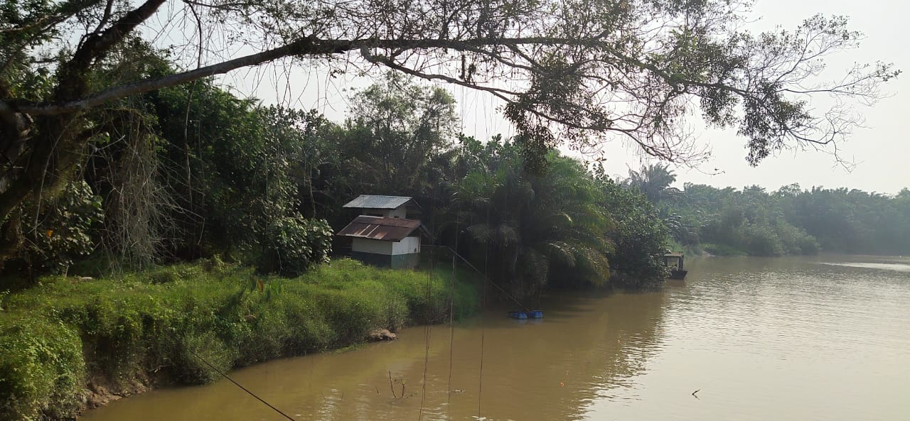 PT.SSM Penerima Sertifikat RSPO dan ISPO Diduga Kangkangi Permen Dipertanyakan