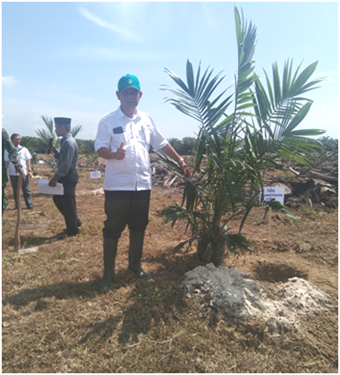PTPN II KEBUN SAWIT SEBERANG LAKSANAKAN TANAMAN PERDANA DAN SANTUNI 30 ANAK YATIM