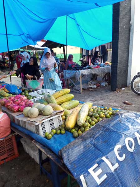Pekan Aek Kota Batu Semerawut, Pintu Masuk Digunakan Tempat Berjualan