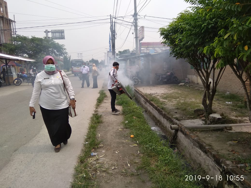 Dinkes dan Puskesmas Putus Mata Rantai Penyebaran DBD.