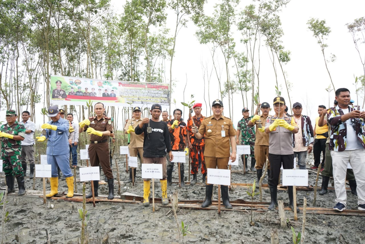 Bupati Batubara Tanam 5000 Mangrove di Desa Perupuk