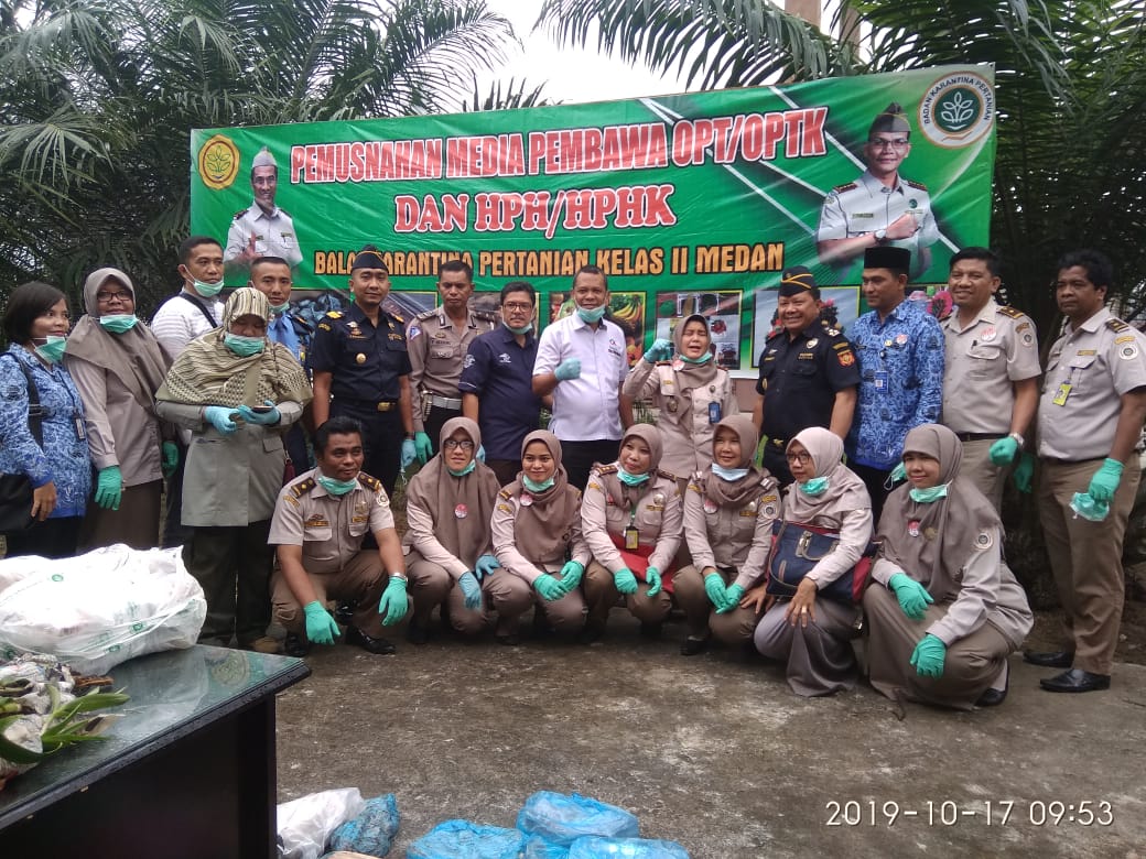 Karantina pertanian musnahkan Arsip operasional tahun 2012-2013