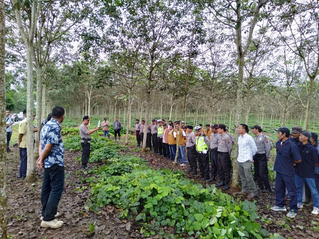 Menang Perkara di MA, PN Sei Rampah Eksekusi Areal HGU PTPN III Dikuasai Penggarap