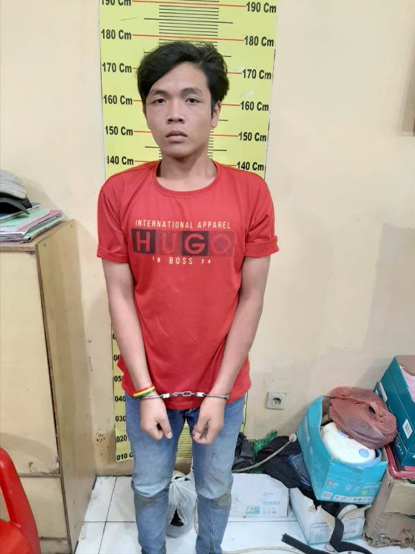 Pengedar Narkotika jenis Ganja diringkus Polsek Delitua