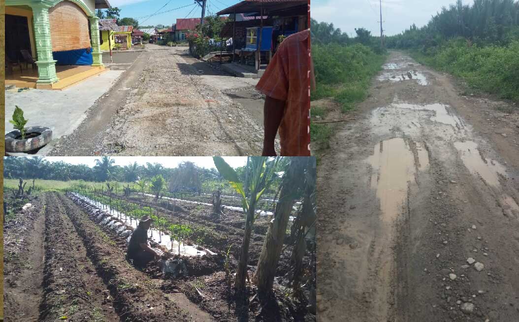 Perhatian Pemprovsu Kepada Daerah Terpencil Kuala Langkat Minim